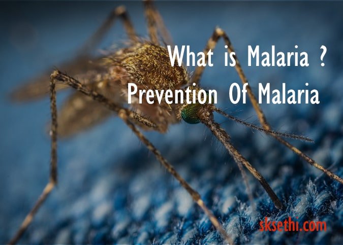 malaria