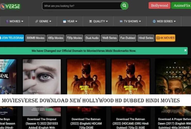 Moviesverse Download New Hollywood HD Dubbed Hindi Movies