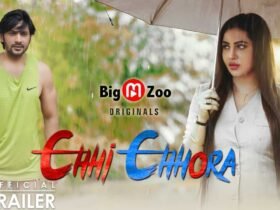Chhi Chhora Hindi Web Series